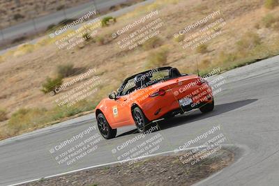 media/Nov-18-2023-Extreme Speed (Sat) [[10c227f63a]]/2-Green/Rear shots/